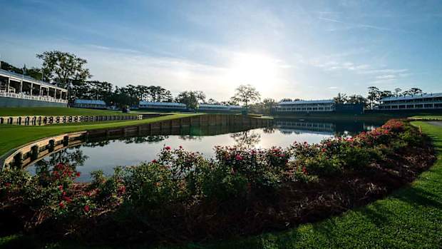 Sawgrass